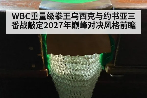 WBC重量级拳王乌西克与约书亚三番战敲定2027年巅峰对决风格前瞻