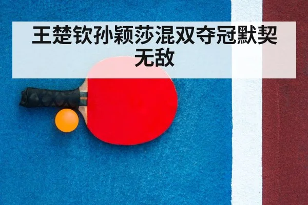 ping pong racket